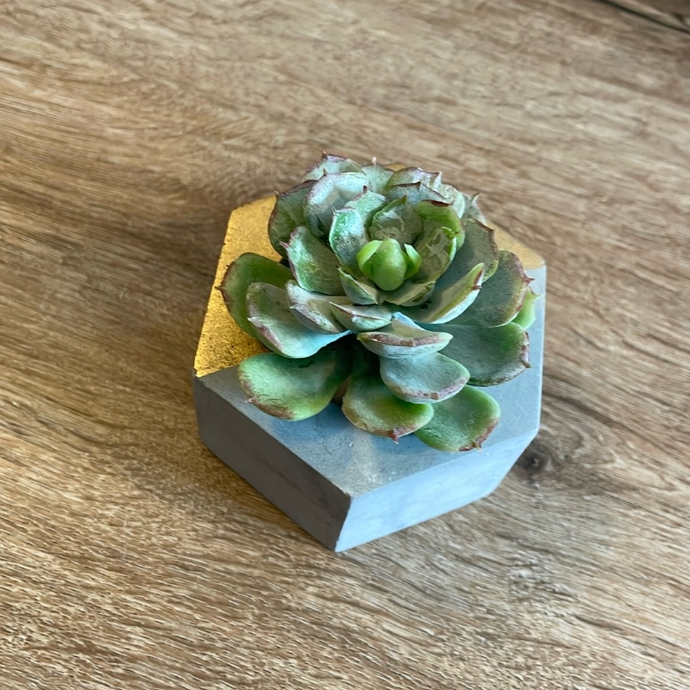 Concrete Grey Geometric Hexagon Candle Holder or Succulent Dish with Gold Detail